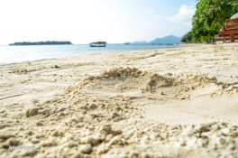 Песок в Северной части пляжа 