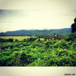 На юге острова