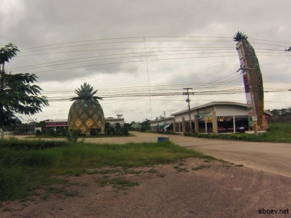 Здание ананас